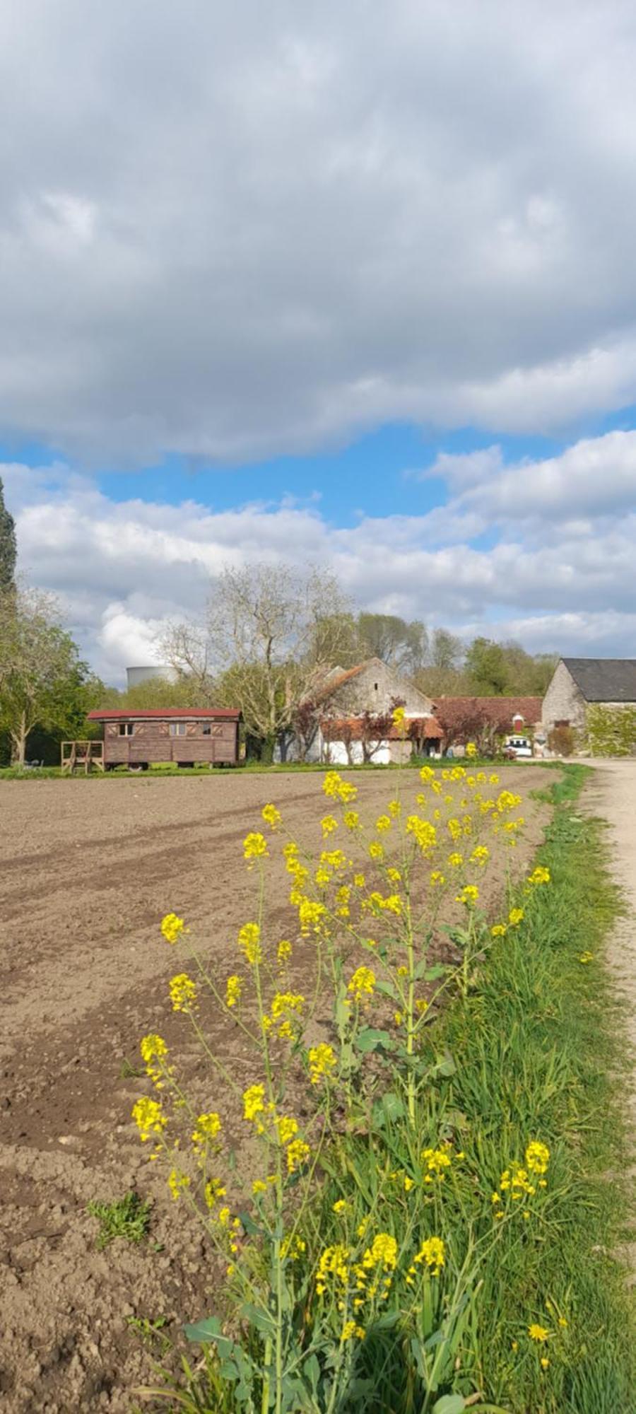 Bed and Breakfast La Ferme De L'Isle Et Sa Roulotte Avaray Zewnętrze zdjęcie